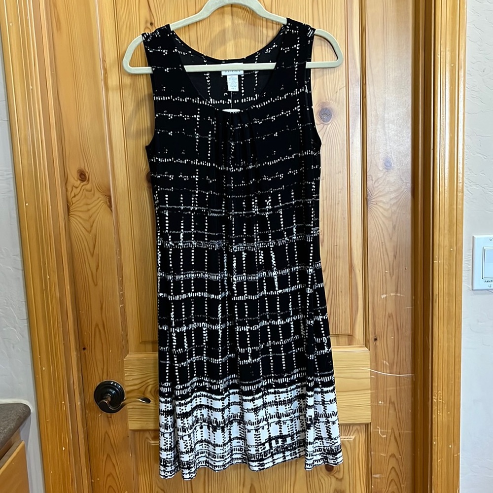 NWT Chico’s Border Bliss Pamela Dress